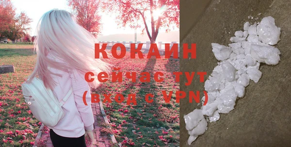 кокс Арсеньев