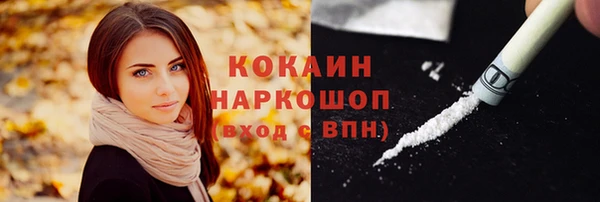 spice Аркадак