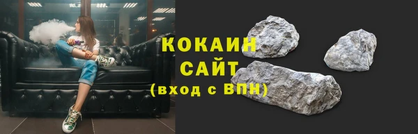 кокс Арсеньев