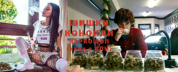 прущий лед Лагань