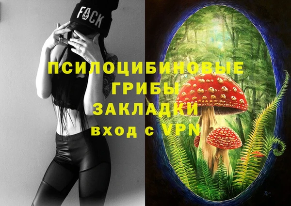 прущий лед Лагань