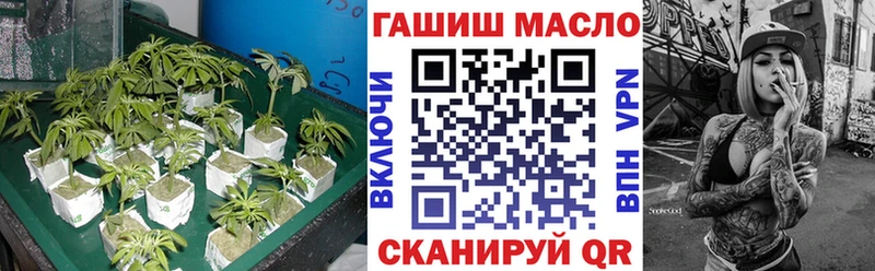 ТГК гашишное масло Гвардейск