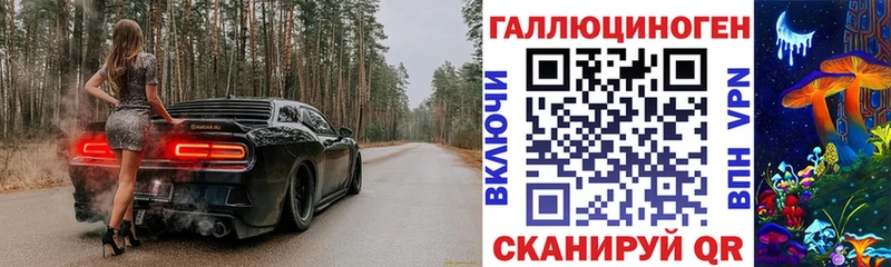 хочу   Гвардейск  Псилоцибиновые грибы Psilocybine cubensis 